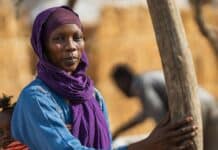 Desplazados por el Clima: 250 Millones en la Próxima Década Desplazados por el clima: 250 millones en diez años