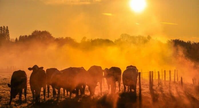 El 2025 Se Perfila Como Uno de los Años Más El 2025 se perfila como el segundo o tercer año más cálido en los registros