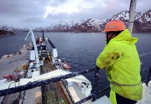 El 75% de las Capturas de Pescado Blanco a Nivel Mundial Cuenta con Certificación de Sostenibilidad Más del 75% de las capturas mundiales de pescado blanco posee certificado de sostenibilidad