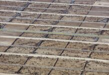 El Impacto de la Ganadería Industrial en las Metas Climáticas: Un Estudio Internacional Revelador Estudio internacional revela el impacto de la ganadería industrial en las metas climáticas