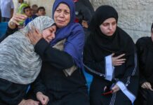 Gaza: Mujeres que Luchan con Coraje por la Supervivencia Familiar Gaza: Las mujeres aseguran las supervivencia familiar solo con coraje y manos exhaustas