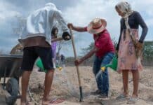 Impacto de los Desastres en la Agricultura: Pérdidas Globales de 3,26 Billones de Dólares en Tres Décadas Los desastres causan pérdidas agrícolas globales por 3,26 billones de dólares en tres décadas