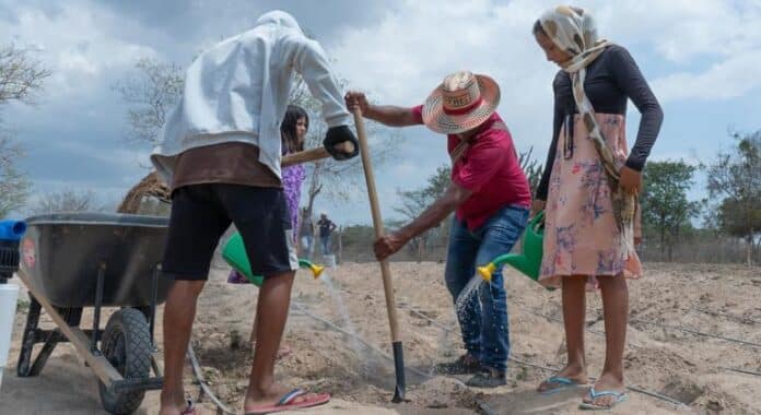 Impacto de los Desastres en la Agricultura: Pérdidas Globales de Los desastres causan pérdidas agrícolas globales por 3,26 billones de dólares en tres décadas