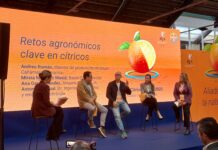 Innovación y Sostenibilidad: Claves para el Futuro de la Citricultura Ante Nuevas Plagas Innovación y sostenibilidad, claves para el futuro de la citricultura ante la amenaza de nuevas plagas