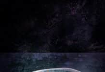 Inti de Oro Analiza Por Qué Millennials y Generación Z Prefieren la Comida Picante Inti de Oro analiza por qué los millennials y la Generación Z prefieren comida picante