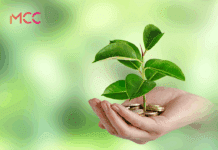 MCC Banking Impulsa la Sostenibilidad con su Nueva Política de Banca Verde MCC Banking apuesta por la sostenibilidad con su nueva política de banca verde