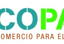 Más del 56% de España es Bosque: Una Oportunidad Desaprovechada en la Madera Más del 56% de España es bosque, pero su madera sigue desaprovechada