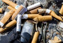 Nuevos Avances en la Lucha Antitabaco y su Impacto Ambiental Nuevos avances en la lucha antitabaco y su impacto ambiental