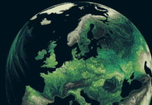 Regiones de la UE con Mayor Producción Agrícola A vast expanse of land covered with plastic greenhouses for the production of fruits and vegetables