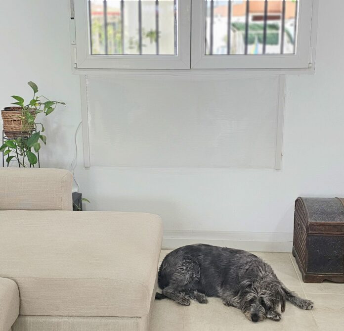 Lanzan un radiador ?made in Murcia? que ahorra un 70% en electricidad