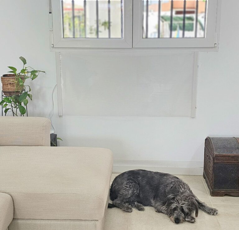 Lanzan un radiador ?made in Murcia? que ahorra un 70% en electricidad