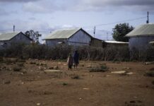 Somalia Declara Estado de Emergencia: Millones de Personas Enfrentan el Hambre por la Sequía Somalia declara el estado de emergencia: millones de personas se enfrentan al hambre por la falta de lluvias