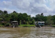 Una Escuela Amazónica Frente al Desafío del Cambio Climático Una escuela del Amazonas desafía el cambio climático
