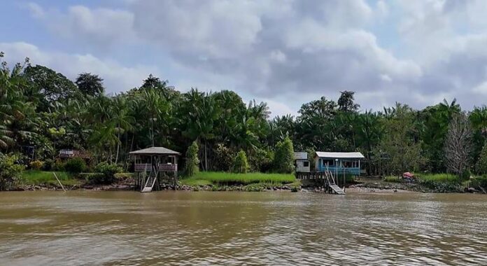 Una Escuela Amazónica Frente al Desafío del Cambio Climático Una escuela del Amazonas desafía el cambio climático