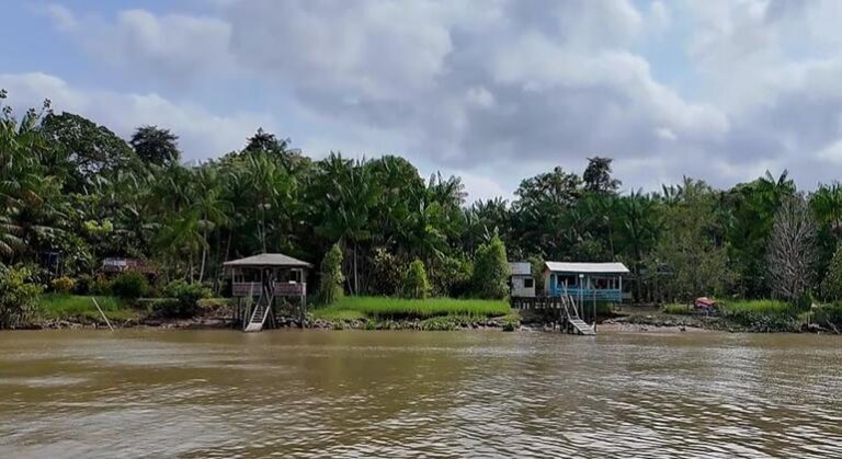Una escuela del Amazonas desafía el cambio climático