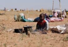 Urgente Intervención Internacional para Frenar las Atrocidades en El Fasher, Sudán Sudán: La comunidad internacional debe actuar para detener las atrocidades en El Fasher