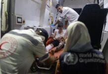 2025: Un Año Decisivo para la Salud Global – Logros y Retos 2025, un año clave para la salud global: logros y desafíos