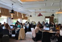 2025: Un Año de Éxitos y Resiliencia para Allzone 2025, un año de logros y resistencia: Allzone cierra el ejercicio con la mirada puesta en el futuro