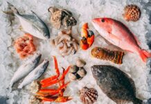 Brisas del Estrecho: Referente en Mariscos al Por Mayor y Conservas Premium en Sevilla Brisas del Estrecho, empresa referente de marisco al por mayor y conservas premium en Sevilla