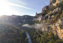 Cierre Exitoso de Bosque Innova en el Alto Tajo: Impulso a la Economía Local y Conservación Forestal por COPADE COPADE cierra con éxito Bosque Innova en el Alto Tajo, impulsando la economía local y la conservación forestal