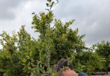 Compromiso Juvenil: Más del 80% de la Juventud Rural Desea Implicarse en sus Territorios Más del 80% de la juventud rural quiere implicarse en sus territorios