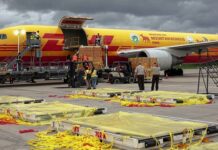 DHL Revela los Envios Más Insólitos de 2025 DHL presenta los envíos más insólitos realizados a lo largo de 2025