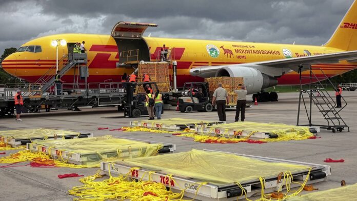 DHL Revela los Envios Más Insólitos de 2025 DHL presenta los envíos más insólitos realizados a lo largo de 2025