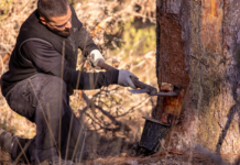 Del Bosque a Tu Casa: Resultados Visibles de COPADE en Nueve Territorios Rurales COPADE concluye el proyecto Del Bosque a tu Casa con resultados visibles en nueve territorios rurales