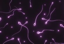 Donantes de Semen: La Formación y Evaluación que Supera a la de Parejas en Embarazos Naturales Dra. Miren Mandiola, directora del Laboratorio de Reproducción Asistida del Hospital de Día Quirónsalud Donostia: "Los donantes de semen tienen muchos más estudios realizados que cualquier pareja en un embarazo natural"