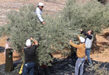 El Aumento Preocupante de la Represión Israelí contra la Sociedad Civil Palestina La represión israelí contra la sociedad civil palestina alcanza niveles alarmantes