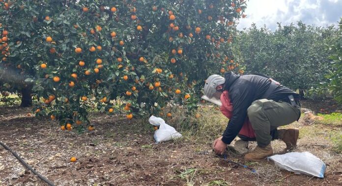 Las muertes causadas por las minas aumentan mientras los fondos para desminado disminuyen