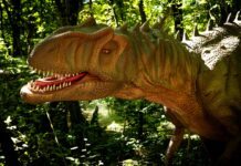 El Bosque Encantado Inaugura Dinolandia Madrid: Una Aventura Familiar entre Dinosaurios El Bosque Encantado abre DINOLANDIA MADRID el 28 de marzo: una experiencia entre dinosaurios para familias