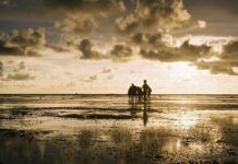 El Débil y Breve Fenómeno de Enfriamiento de La Niña El fenómeno de enfriamiento de La Niña será débil y breve