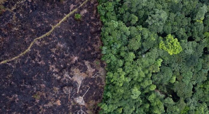 Invertir en la Salud del Planeta: Un Camino hacia un Medio ambiente: Invertir en la salud del planeta generaría mayor PIB, menos muertes, menos pobreza
