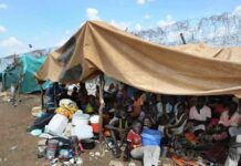 Kordofán No Debe Ser Otro El Fasher, Advierte el Alto Comisionado para los Derechos Humanos Sudán: Kordofán no debe convertirse en otro El Fasher, dice el Alto Comisionado para los Derechos Humanos