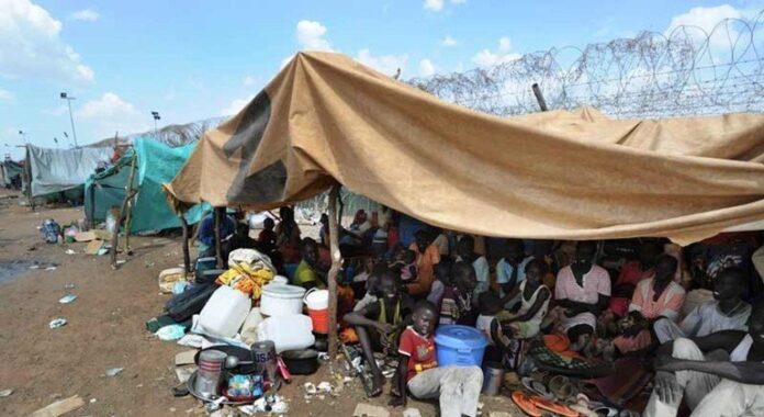 Sudán: Kordofán no debe convertirse en otro El Fasher, dice el Alto Comisionado para los Derechos Humanos