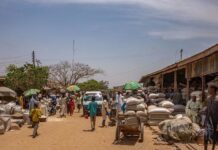 La ONU Condena el Ataque Suicida en Nigeria que Causó la Muerte de Cinco Personas en una Mezquita La ONU condena el ataque suicida que mató a cinco personas en una mezquita en Nigeria