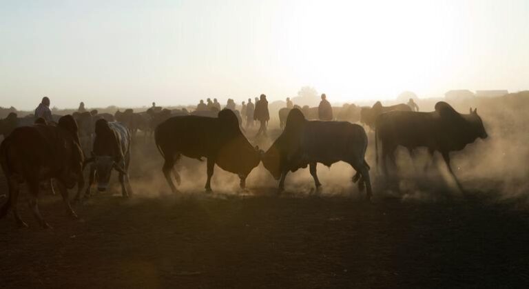 La ONU reafirma la integridad territorial de Somalia tras el reconocimiento de Somalilandia por Israel