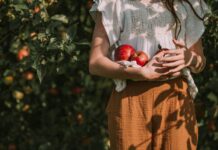 Mak Food Company: Crecimiento Sólido y Expansión Internacional en 2025 Mak Food Company cierra 2025 con un crecimiento sólido, expansión internacional y estabilidad