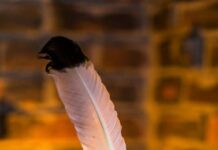 María San José: De Cierre Literario a un Nuevo Comienzo Creativo María San José cierra un capítulo literario para abrir una nueva etapa creativa