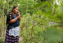 Mujeres Indígenas: Una Llamada de Ateneo Contra la Violencia Digital en América Latina Mujeres indígenas alzan la voz ante la creciente ola de violencia digital en América Latina