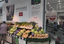 Nace AgroHub Madrid: La Cooperativa Hortícola que Alimentará la Capital Nace AgroHub Madrid, la nueva cooperativa hortícola para alimentar Madrid
