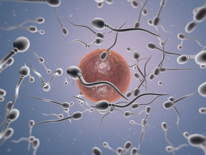 Preservar la Fertilidad: Un Camino para que la Mujer Compagine Dra. Miren Mandiola, directora del Laboratorio de Reproducción Asistida del Hospital de Día Quirónsalud Donostia: "Preservar la fertilidad permite a la mujer conciliar maternidad y proyectos personales"