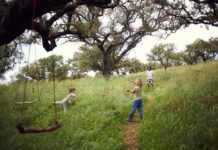 Traditional Dream Factory Supera los 1,2 Millones de Euros y Lidera la Economía Regenerativa en Europa Traditional Dream Factory supera los 1,2 millones de euros y lidera la economía regenerativa en Europa