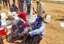 Urgente Llamado: No Podemos Ignorar la Espantosa Violencia Sexual en la Guerra de Sudán Guerra en Sudán: el mundo no puede ignorar la «espantosa violencia sexual»