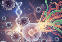 VPH: Lo Que Nadie Te Cuenta Sobre el Sistema Inmunitario y la Salud Íntima VPH: lo que casi nadie explica sobre el sistema inmunitario y la salud íntima