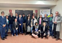 Villaverde Potencia la Economía Social en una Jornada de Diagnóstico y Networking Organizada por FECOMA Villaverde impulsa la Economía Social en una jornada de diagnóstico y networking impulsada por FECOMA