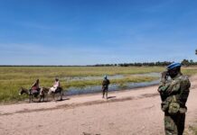 Al Límite del Conflicto: La Delicada Frontera entre la República Centroafricana y Sudán Al borde de la guerra: la frágil frontera de la República Centroafricana con Sudán