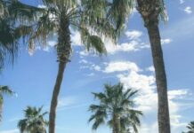 Baja California Atrae Miradas en FITUR 2026 con Estrategia para Conquistar Europa Baja California irrumpe en FITUR 2026 con una agenda estratégica para conquistar el mercado europeo