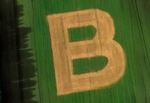 Bonduelle Recibe la Certificación B Corp a Nivel Mundial Bonduelle obtiene la certificación B Corp en todas sus operaciones a nivel mundial